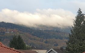 Boardingappartement Windeckblick, ruhige, zentrale Lage mit großem Südbalkon